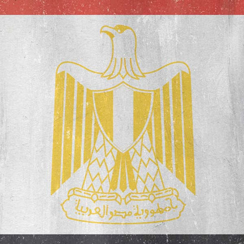 Egypt Flag Distressed iPhone XR Skin